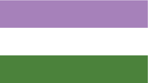 flag Gender Queer