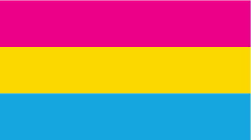 flag pansexual