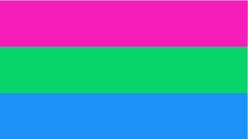 flag polysexual